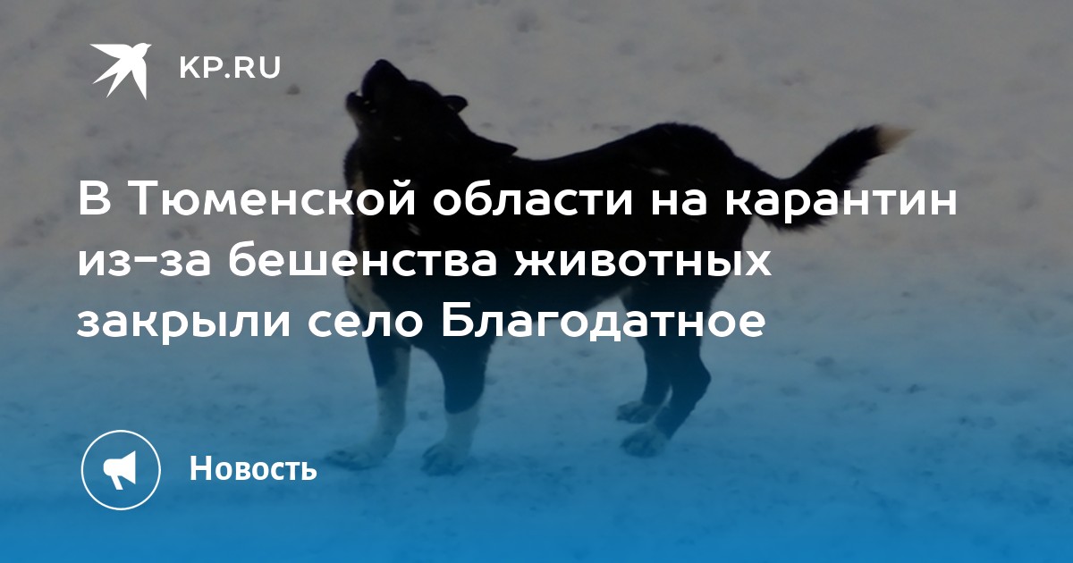 Зверям Ру Интернет Магазин Тюмень