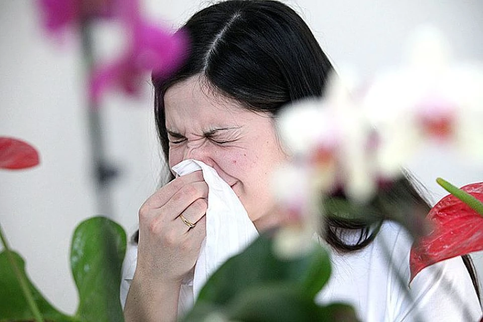 Неожиданно возникший насморк, чихание, слезотечение, покраснение и зуд кожи - все это зачастую является сиптомами аллергии.