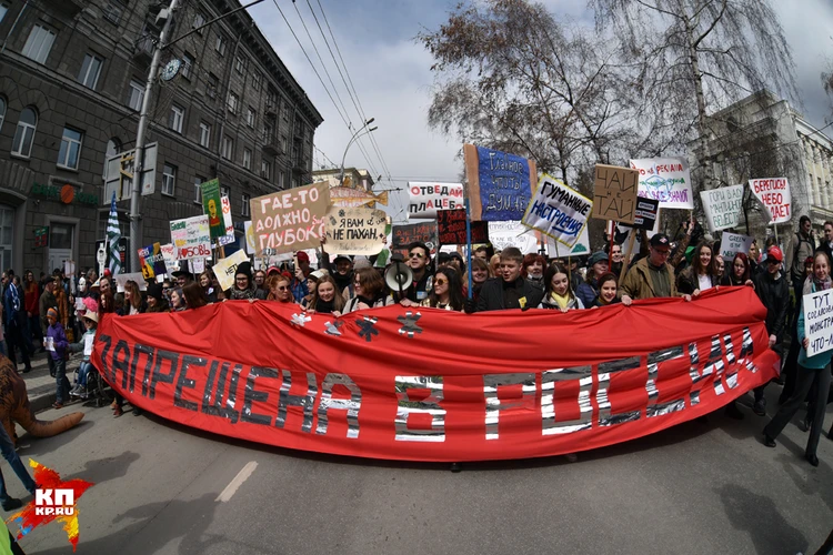 «Монстрация-2017» в Новосибирске: Вся власть совятам!