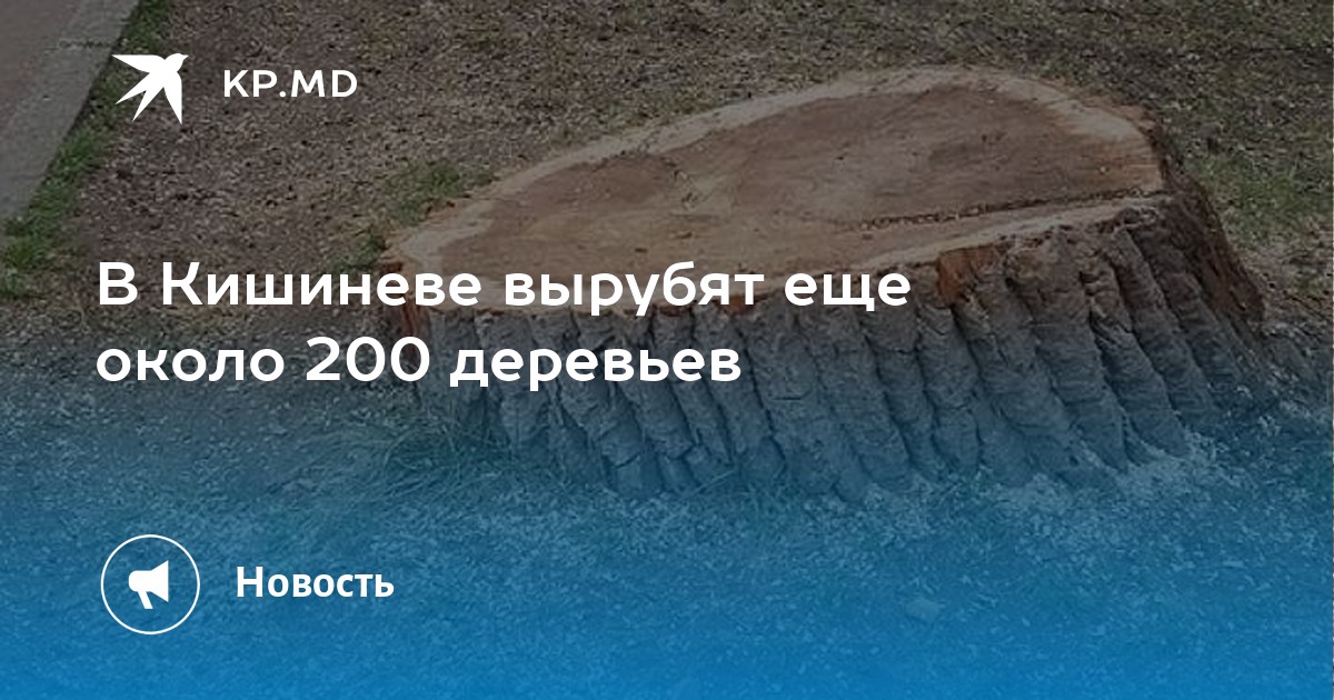 Рабочие должны были посадить 680 деревьев они перевыполнили план на 25 сколько деревьев посадили