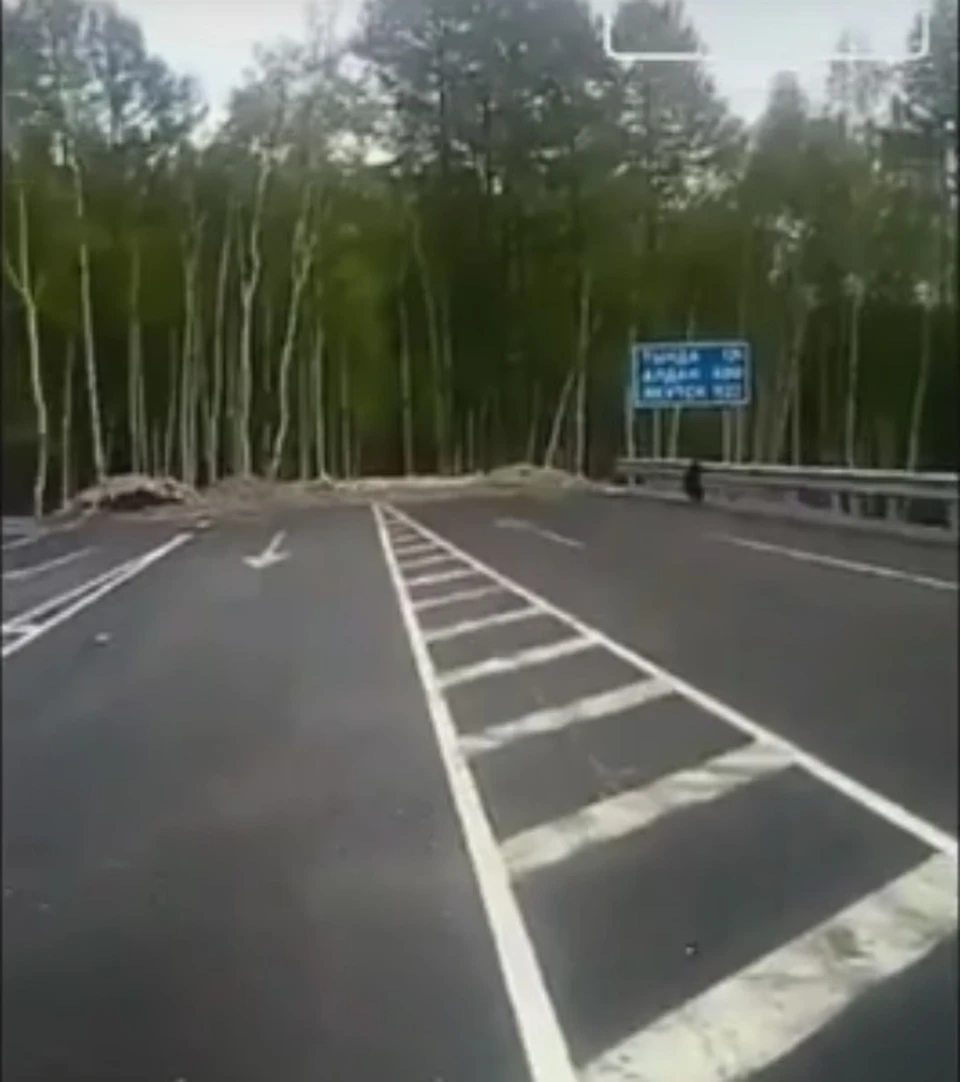 Отличный участок трассы кончается тайгой! Фото: скриншот с видео.