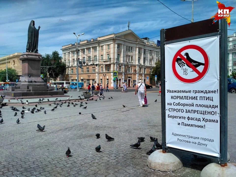 Плакат-предостережение стал еще одной достопримечательностью Соборной площади. Фото: Федор Ларин.