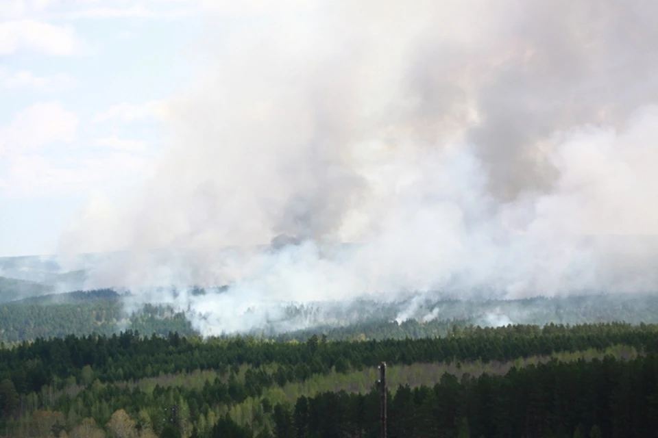 На утро 26 июня в Иркутской области действуют 49 лесных пожаров