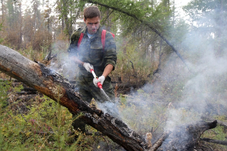 На Дальнем Востоке снижается число лесных пожаров