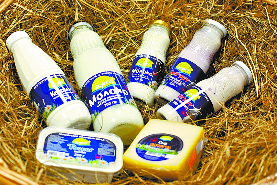 Каждый день Приозерский завод превращает сыры, творог, йогурты и другие полезные продукты около десяти тонн коровьего и козьего молока