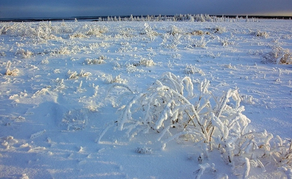Реки Ямала начали замерзать