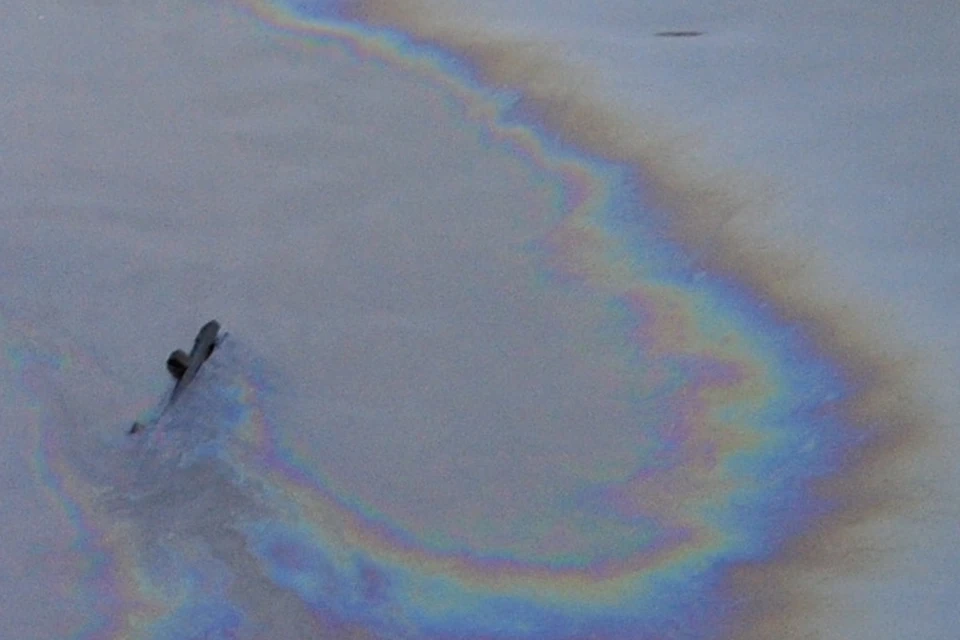 Росприроднадзор: «Пятна нефти на Волге у Борского моста поднимаются со дна»