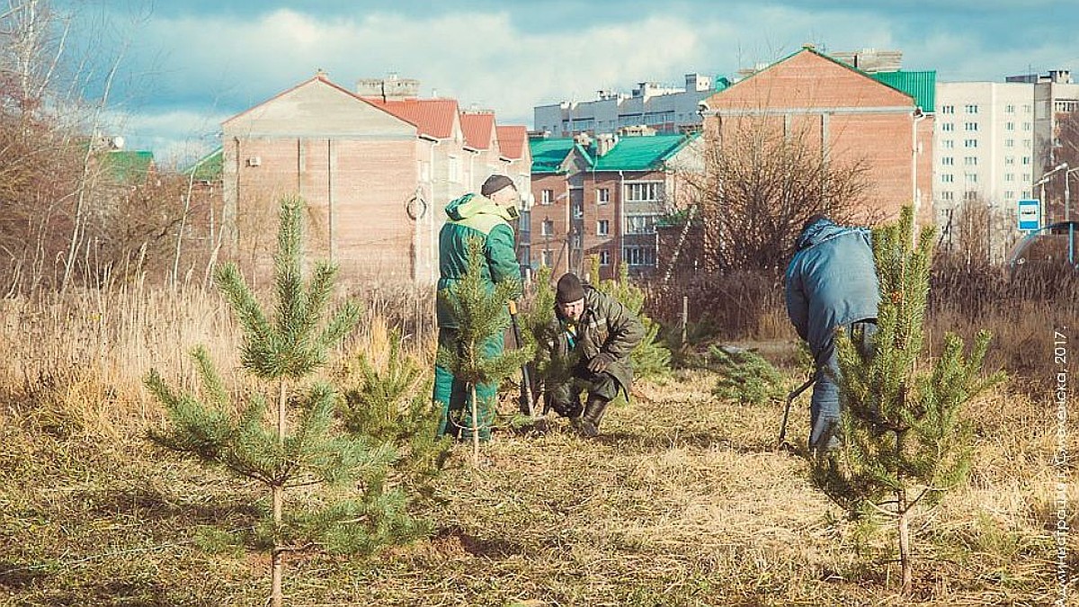 Парк в «Соловьиной роще» в Смоленске благоустроят к осени 2018 года - KP.RU