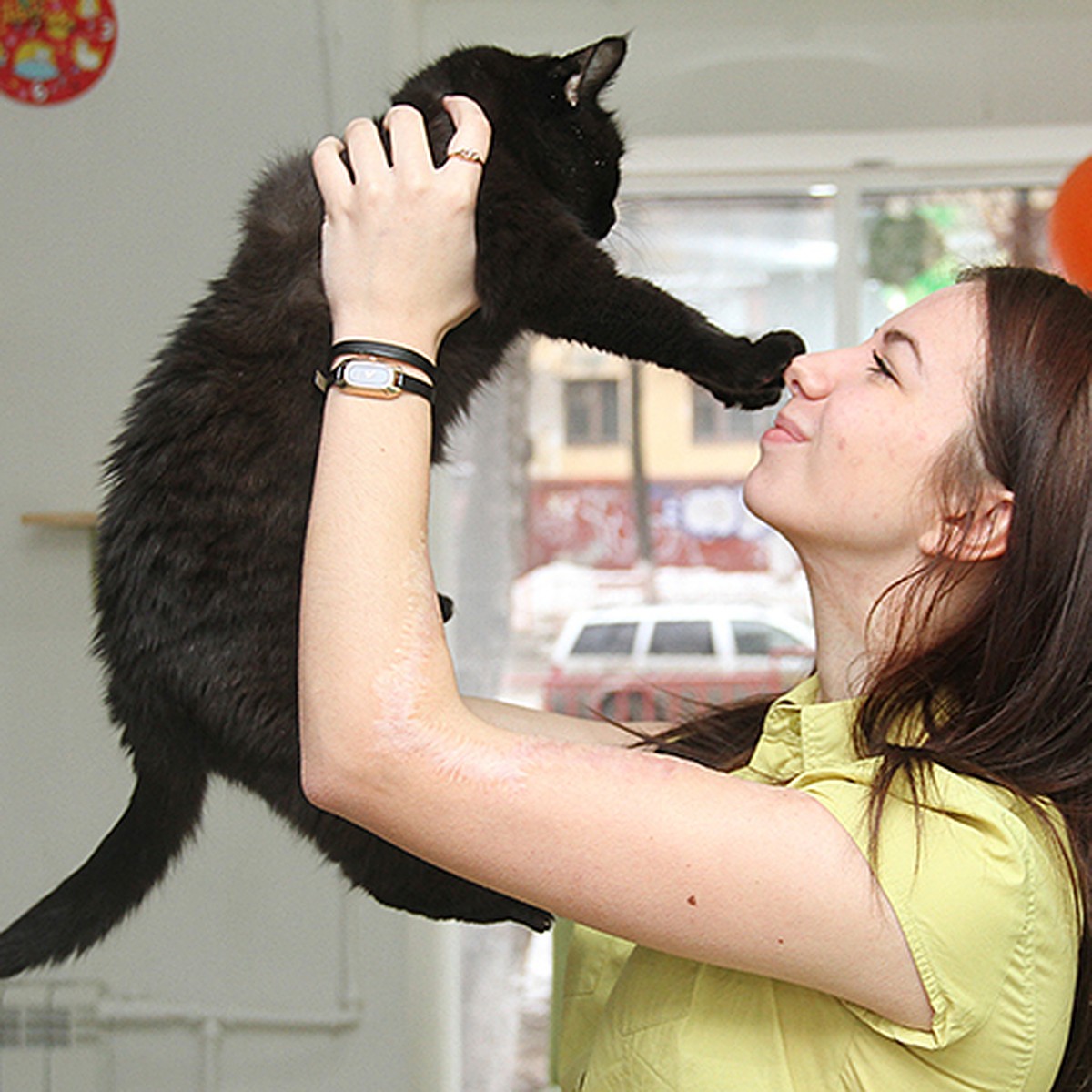 Ученые: Мурлыканье кошки - это сверхспособность с целебным эффектом - KP.RU