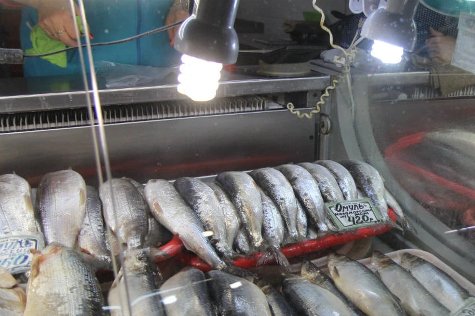 Запрет на вылов омуля в Байкале: возбуждено первое уголовное дело за скупку рыбы.