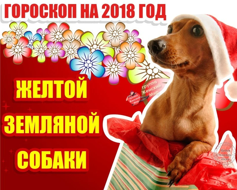 Восточный Гороскоп 2018 на год Желтой Земляной Собаки: гороскоп по годам рождения