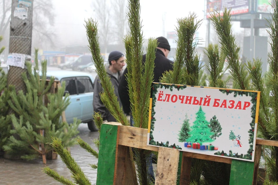 В Донецк продолжается продажа новогодних деревьев