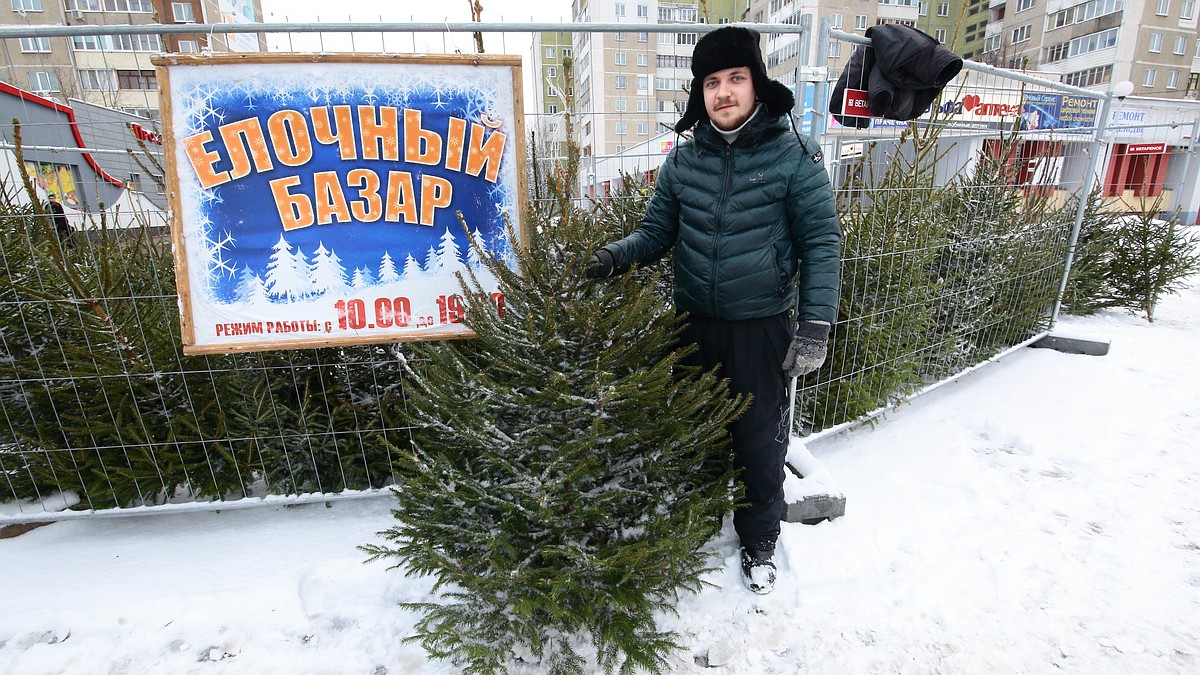 Елочные базары - 2017: «Почему обещали метровые елки за 10 рублей, а самые  дешевые стоят 20?!» - KP.RU