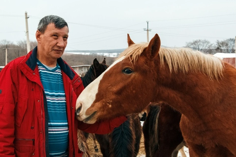 Сергей Пан в Приморье разводит лошадей и баранов, но готов также поставлять для Японии сено