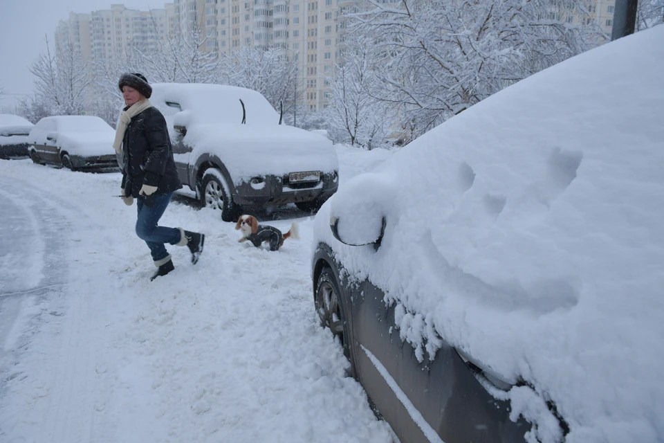 Нужна ли снег. Сургут завалило снегом. Завалило снегом 2020. Сильный снег в Югре. Россию завалило снегом.