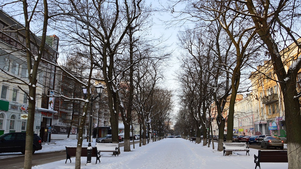 Жители Твери сами выберут, какие парки и скверы города нужно благоустроить  - KP.RU