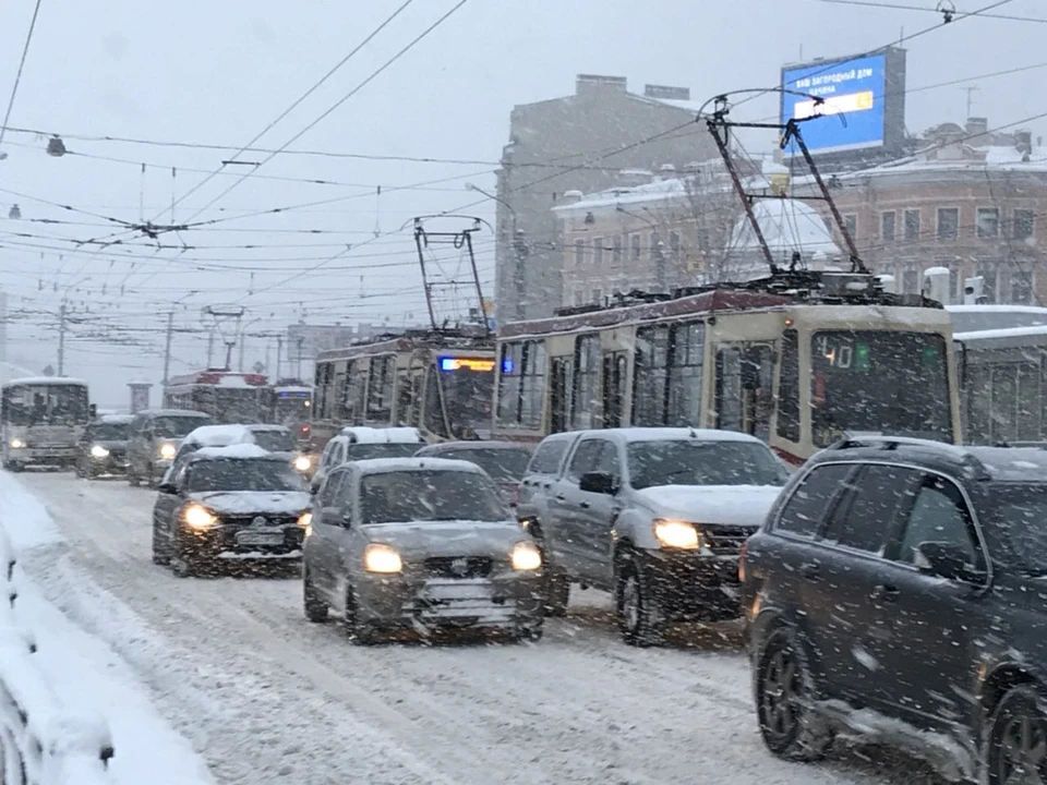 Погода удивляет петербуржцев