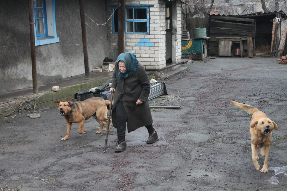 82-летнюю старушку с протезом вместо ноги всегда охраняют дворовые собаки