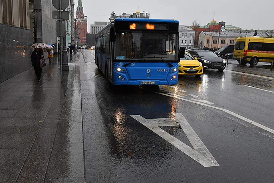 Чтобы автобусы и троллейбусы ездили строго по расписанию - без выделенных полос не обойтись