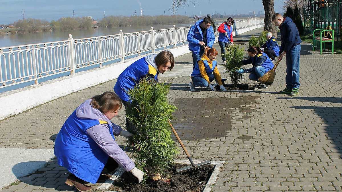 Субботник в Краснодаре: В Рождественском парке посадили 15 туй - KP.RU