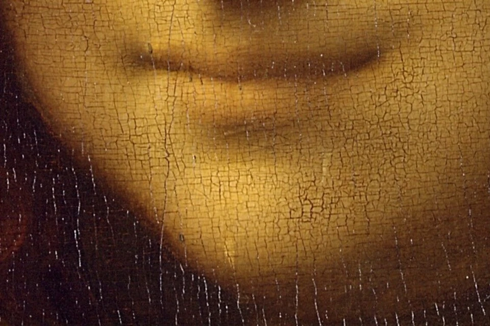 Так озадачить человечество мог только великий Леонардо да Винчи.