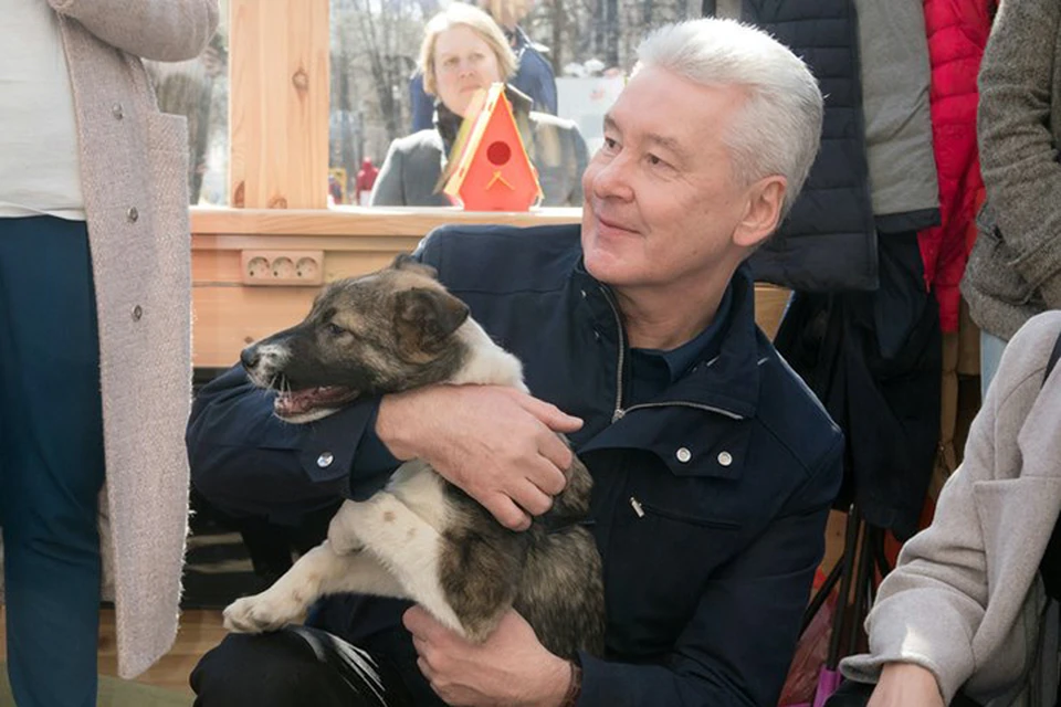 Мэр решил забрать домой одну из находившихся сегодня на фестивальной площадке собак по кличке Джоуи