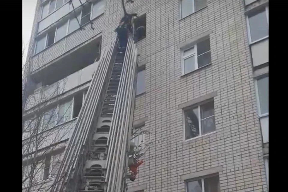 Ребёнка спасли пожарные, взобравшись по выдвижной лестнице Фото: ТИА