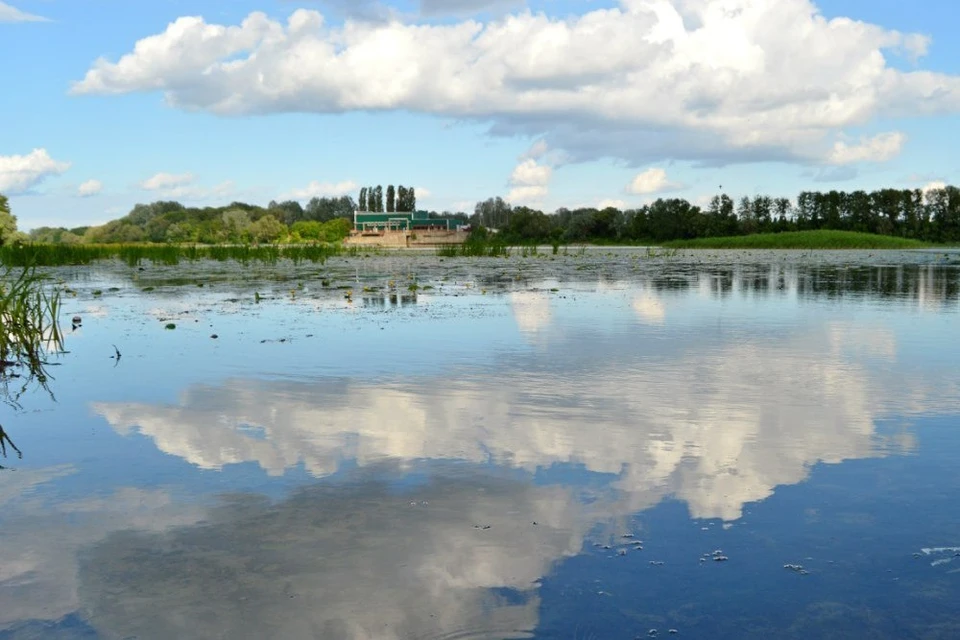 Сколько рек в липецке