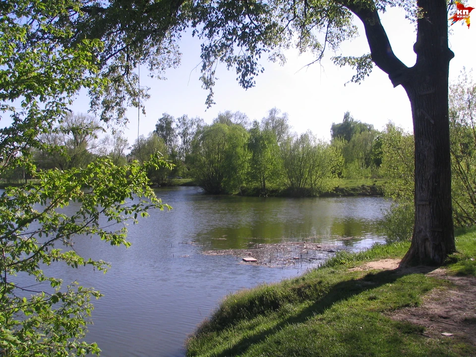 На этом месте малыш споткнулся и скатился по склону в воду.