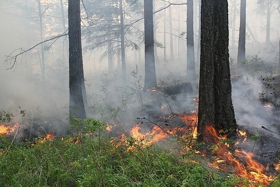 При тушении пожара в Бурятии погибли два сотрудника лесной охраны