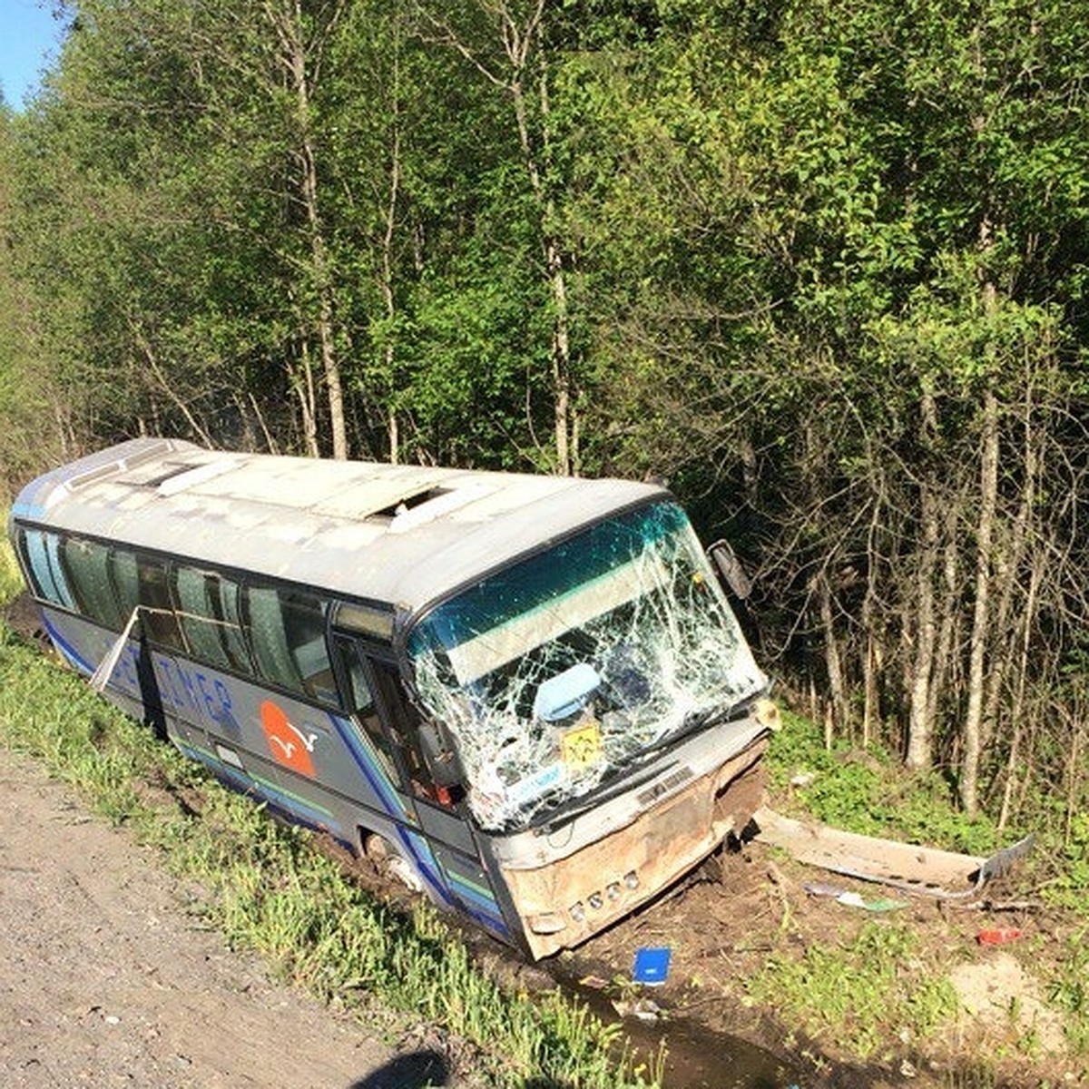 Четырнадцать человек пострадали в ДТП с автобусом, который вез детей из  Пскова на экскурсию в Санкт-Петербург - KP.RU