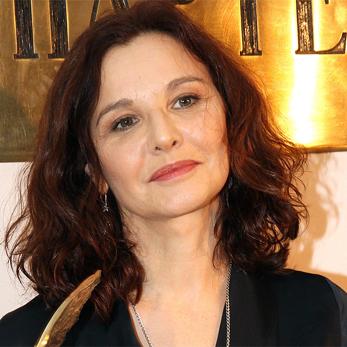 Майк Лорис косметикасының бағасы ресми веб-сайт каталогы Ақ труси киген кемпірлер