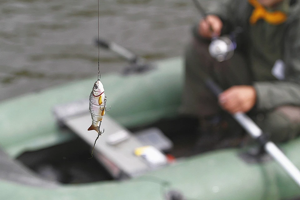 Рыбные места в окрестностях Красноярска 2018: где ловить рыбу?