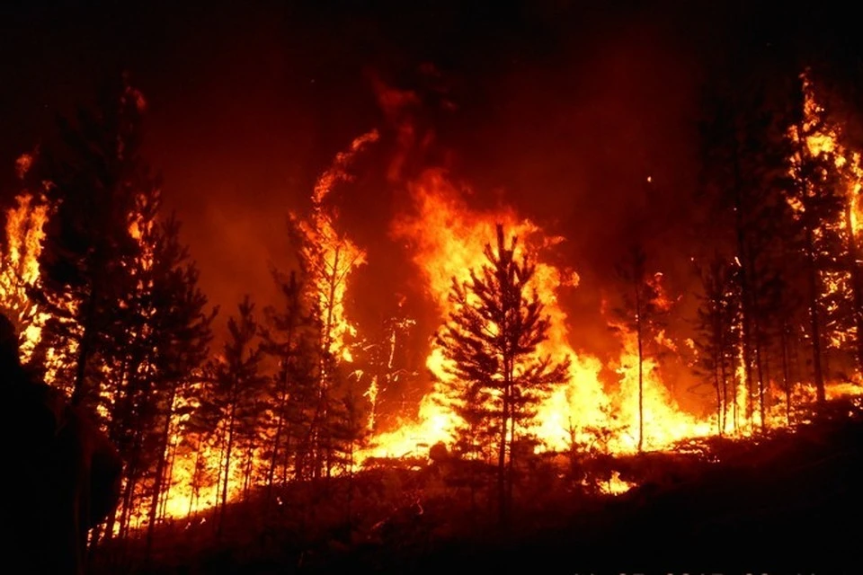 В Коми горит более 50 гектаров леса