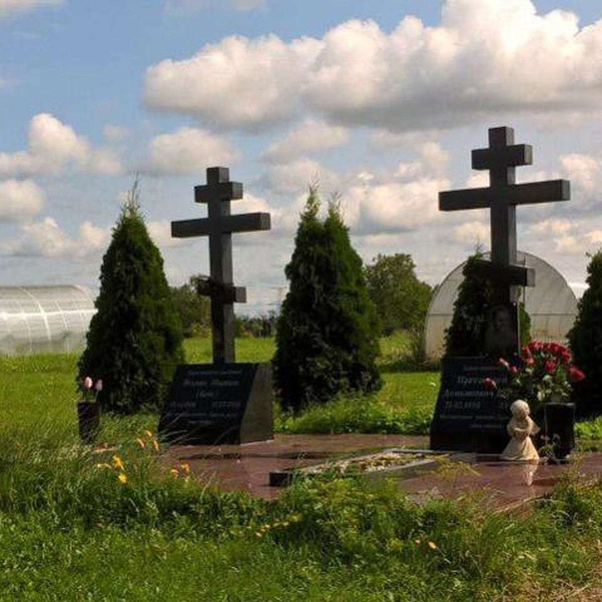 Скандал в Калининграде: По городскому кладбищу бегают овцы и прыгают  кролики - KP.RU