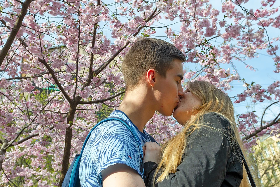 Поцеловал игоря. День поцелуев. Фото с днем поцелуя. Самарский поцелуй. Поцелуи поднимают иммунитет.