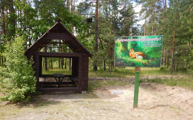 В лесах официально разрешили устраивать пикник.
