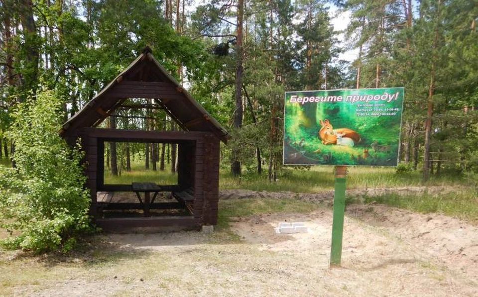 Карта шашлычных мест