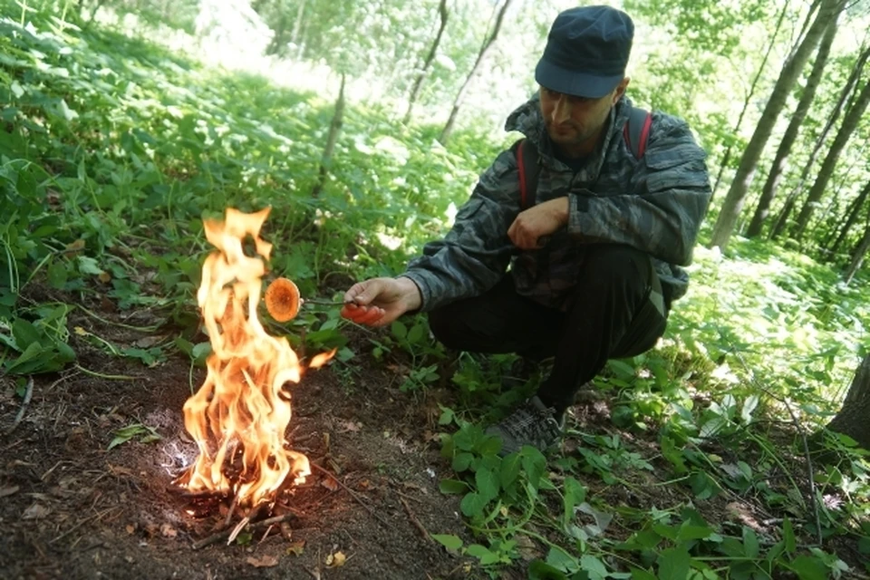 Томские пожарные помогли найти заблудившего в лесу грибника.