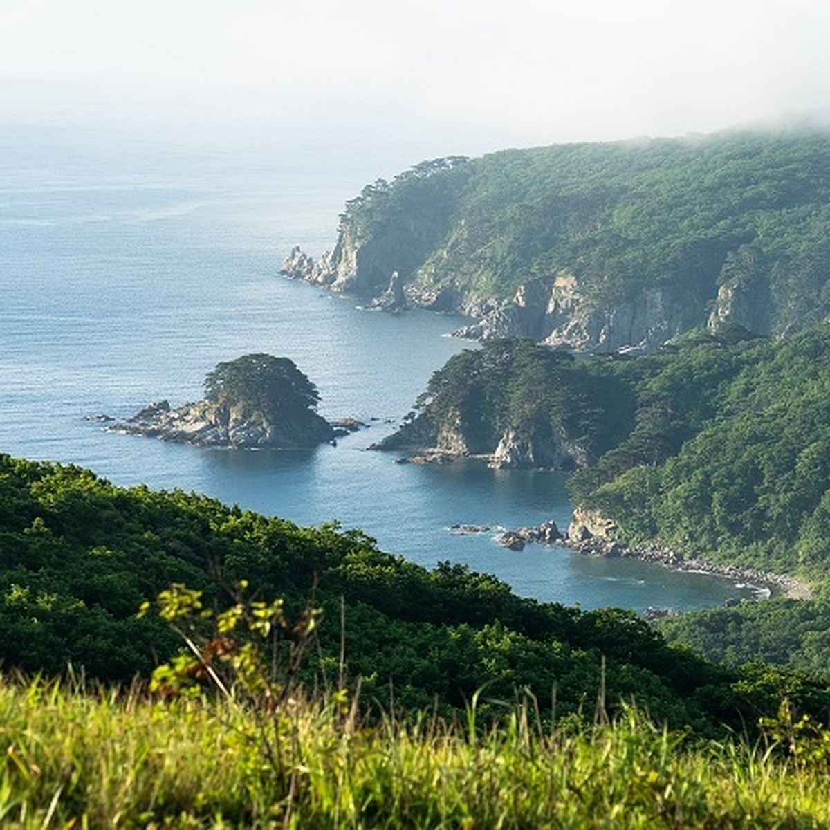 Дальневосточный морской заповедник Приморский край