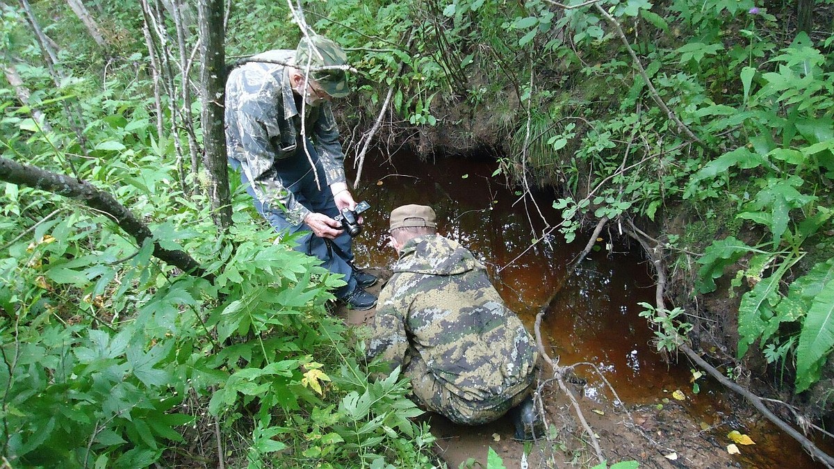 Огромные следы, знаки и шерсть: что удалось установить участникам  экспедиции по поиску «снежного человека» в Коми - KP.RU