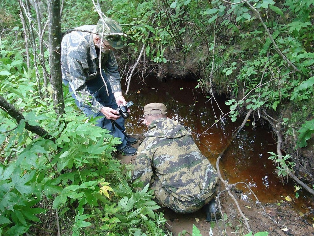 Огромные следы, знаки и шерсть: что удалось установить участникам  экспедиции по поиску «снежного человека» в Коми - KP.RU