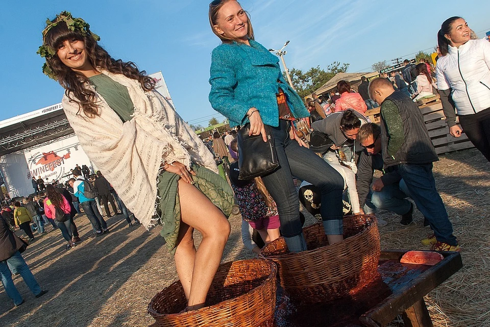 #WineFest будет проходить в Севастополе 29-30 сентября.