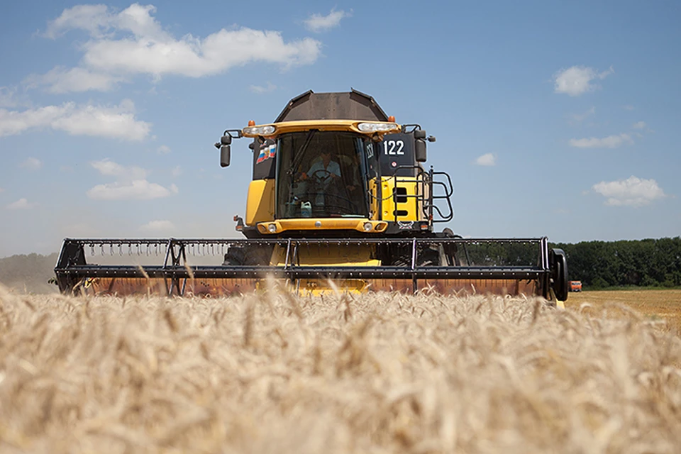 В 2018 сельскохозяйственном году Россия экспортировала более 40 миллионов тонн пшеницы, которая по качеству намного лучше американской