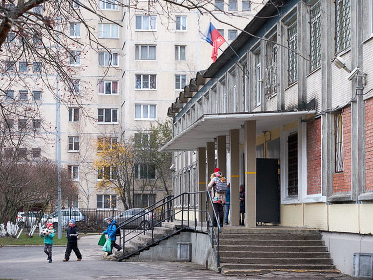 «Хамит, урезала зарплату»: Учитель английского вышел на пикет против  директора школы, из-за которого уволились 20 педагогов - KP.RU