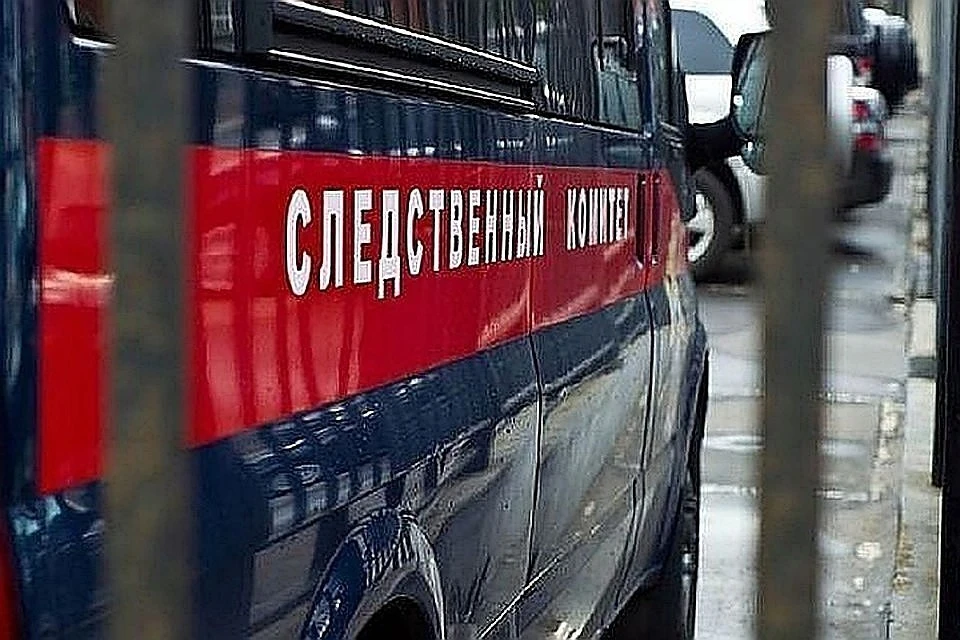 Двухлетняя девочка погибла от вирусной инфекции в нижегородском детдоме