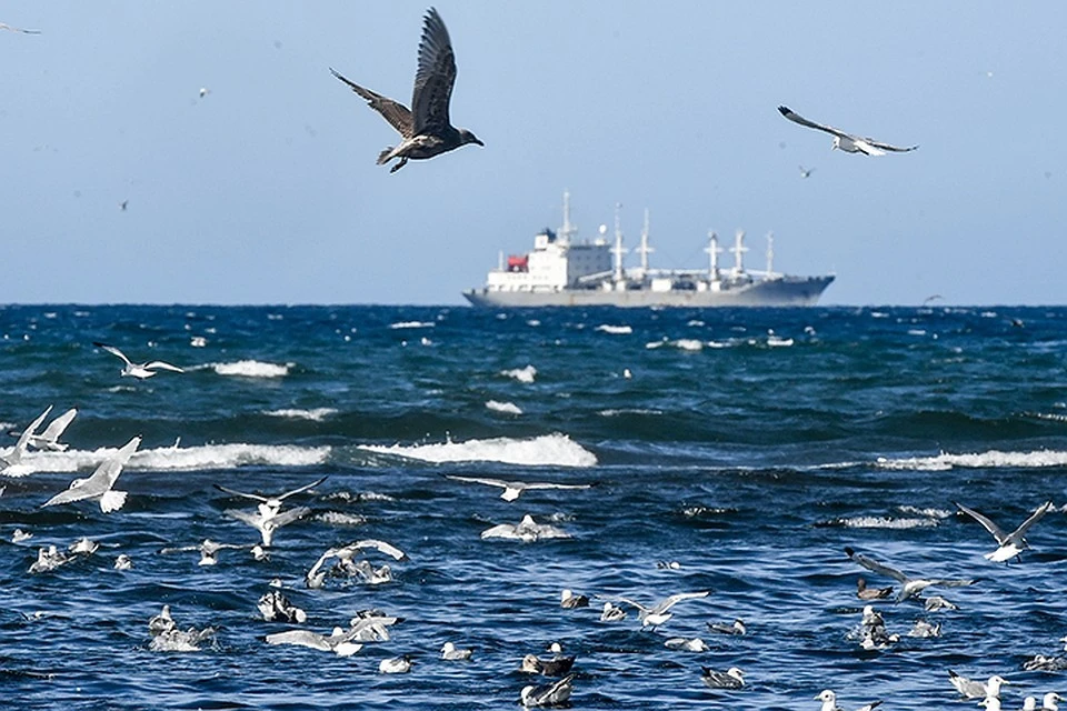 Россия не может закрыть Азовское море и не собирается этого делать