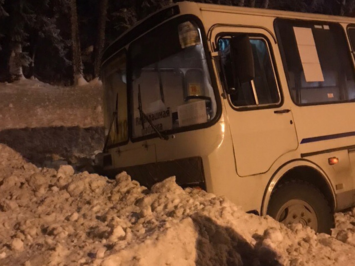 Под Томском маршрутный автобус сошел с трассы, пострадавших нет - KP.RU