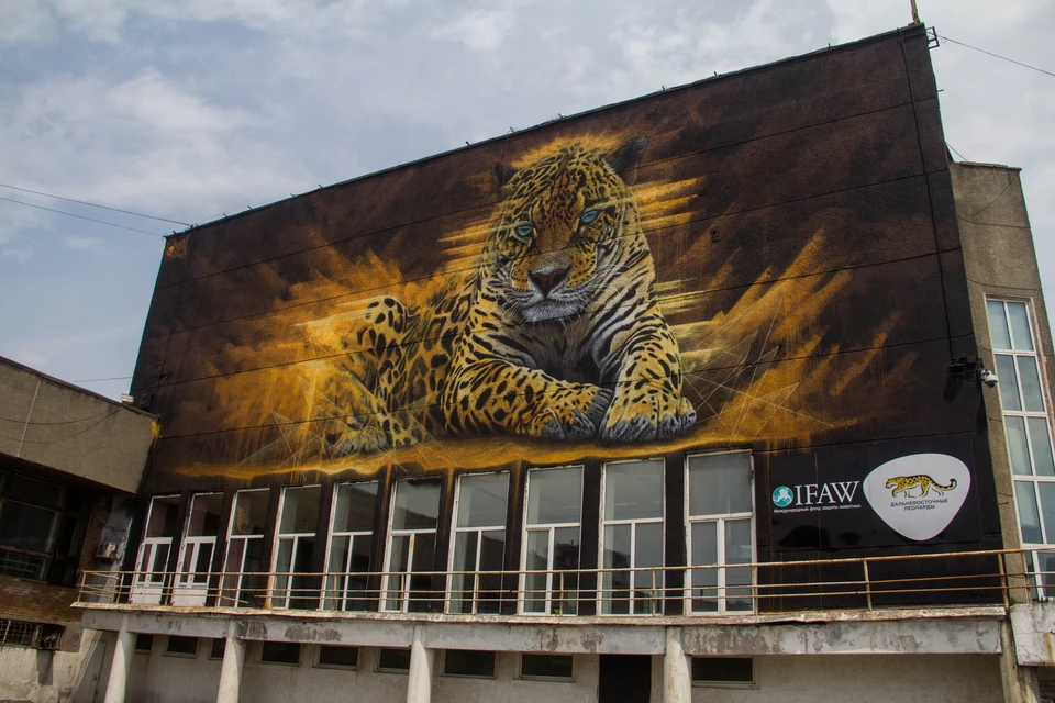 Граффити дальневосточного леопарда так же пропадёт из истории города