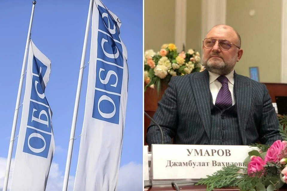 Джамбулат Умаров сообщил, что Чечня готова принять наблюдаетелей из ОБСЕ